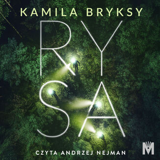 Rysa