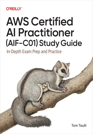 Okładka: AWS Certified AI Practitioner (AIF-C01) Study Guide. In-Depth Exam Prep and Practice