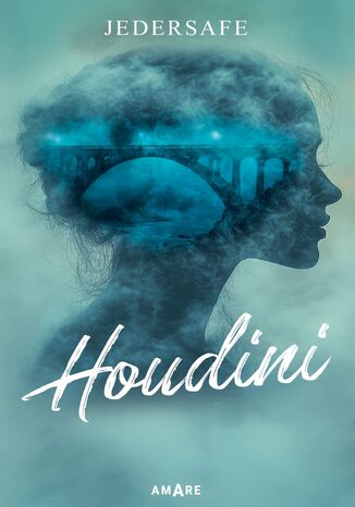 Houdini Jedersafe