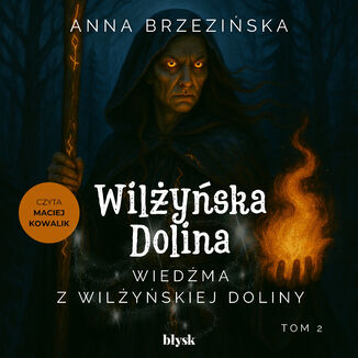 Wiedźma z Wilżyńskiej Doliny