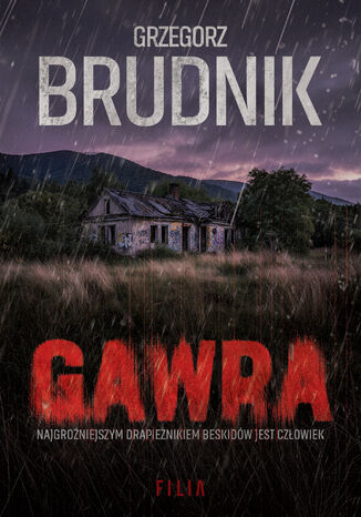 Gawra Grzegorz Brudnik