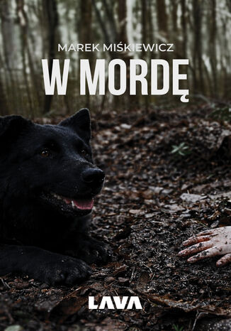 W mordę Marek Miśkiewicz