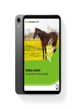Kolka u koni – nie zawsze winne są jelita