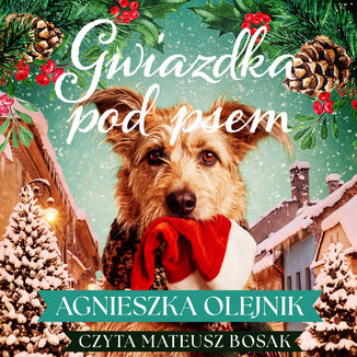 Gwiazdka pod psem