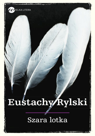 Szara lotka Eustachy Rylski - okadka ebooka