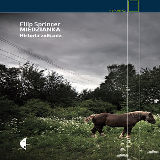 Okładka: Miedzianka. Historia znikania