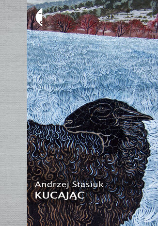 Kucajc Andrzej Stasiuk - okadka audiobooks CD