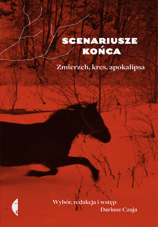 Scenariusze koca. Zmierzch, kres, apokalipsa Dariusz Czaja - okadka audiobooka MP3