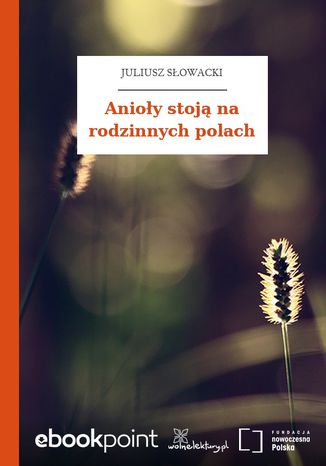 Anioy stoj na rodzinnych polach Juliusz Sowacki - okadka ebooka