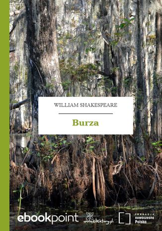Burza William Shakespeare (Szekspir) - okadka audiobooka MP3