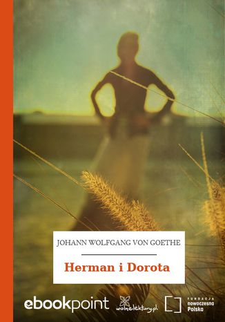 Herman i Dorota Johann Wolfgang von Goethe - okadka audiobooks CD