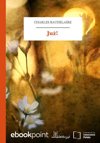 Ju! Charles Baudelaire - okadka audiobooks CD