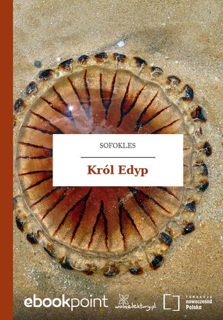 Krl Edyp Sofokles - okadka ebooka