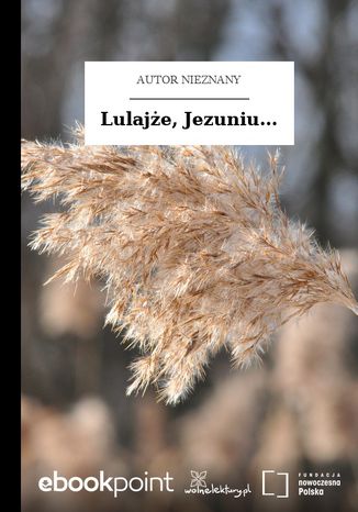 Lulaje, Jezuniu Autor nieznany - okadka audiobooks CD