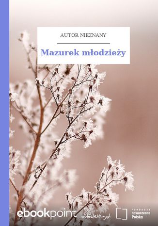 Mazurek modziey Autor nieznany - okadka audiobooka MP3