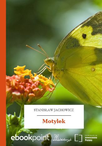 Motylek Hans Christian Andersen - okadka ebooka