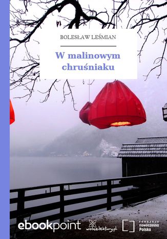 W malinowym chruniaku Bolesaw Lemian - okadka audiobooka MP3