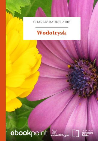 Wodotrysk Charles Baudelaire - okadka audiobooka MP3