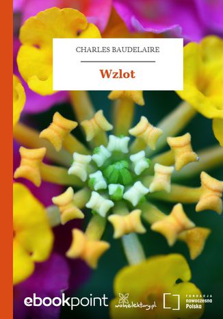 Wzlot Charles Baudelaire - okadka audiobooka MP3