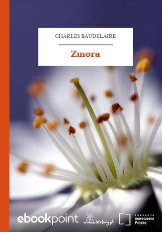 Zmora Charles Baudelaire - okadka audiobooks CD