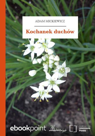 Kochanek duchw Adam Mickiewicz - okadka audiobooks CD