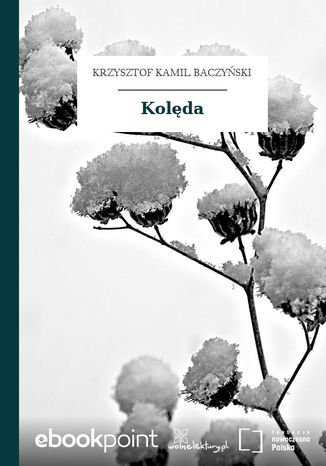 Kolda Krzysztof Kamil Baczyski - okadka audiobooka MP3
