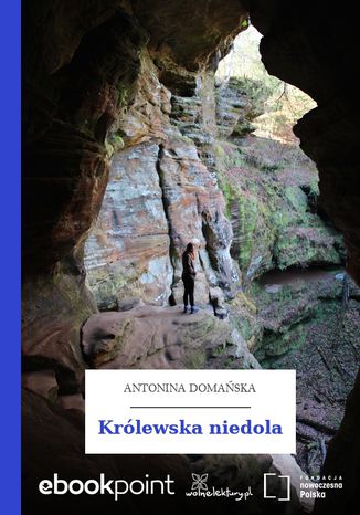 Krlewska niedola Antonina Domaska - okadka ebooka