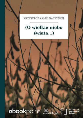 (O wielkie niebo wiata...) Krzysztof Kamil Baczyski - okadka audiobooks CD