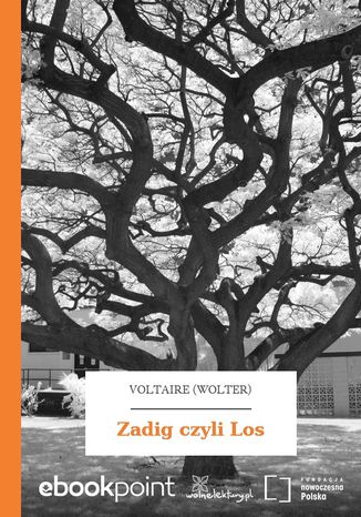 Zadig czyli Los Voltaire (Wolter) - okadka audiobooks CD