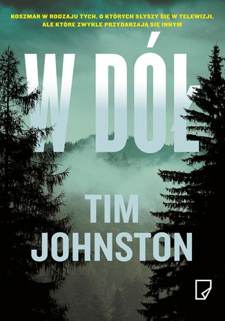 W d Tim Johnston - okadka ebooka