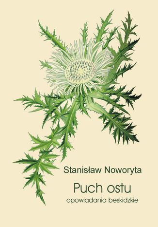 Puch ostu. Opowiadania beskidzkie Stanisaw Noworyta - okadka audiobooks CD