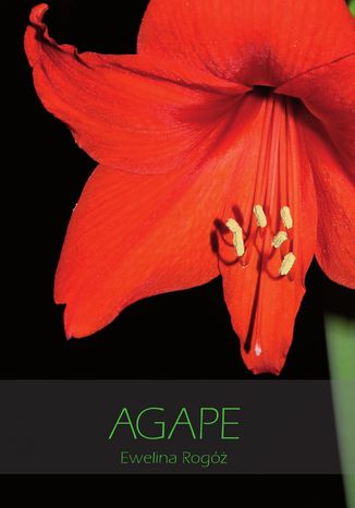 Agape Ewelina Rog - okadka audiobooks CD
