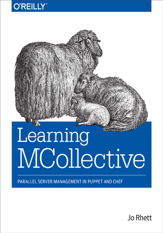 Learning MCollective. Parallel Server Management in Puppet and Chef Jo Rhett - okładka audiobooks CD
