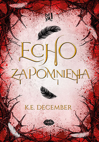 Echo zapomnienia K.E. December - ok�adka ksi��ki