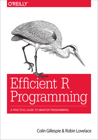 Okładka książki/ebooka Efficient R Programming. A Practical Guide to Smarter Programming