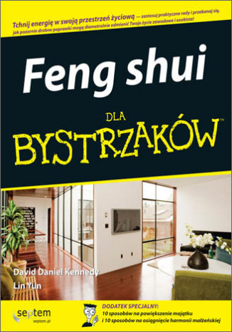Feng shui dla bystrzaków David Daniel Kennedy, Lin Yun - okładka książki