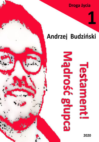 Okładka: Testament! Mądrość głupca