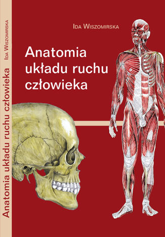Anatomia Ukadu Ruchu Czowieka Ida Wiszomirska - okadka ebooka