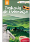 okladka