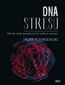 DNA stresu