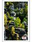 Drezno i Saksonia. Travelbook. Wydanie 3