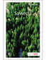 Szwecja. Travelbook. Wydanie 1