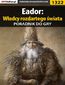 Eador: Władcy rozdartego świata - poradnik do gry