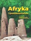 Afryka i (post)kolonializm