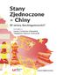 Stany Zjednoczone - Chiny. W stronę dwubiegunowości?