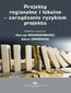 Projekty regionalne i lokalne - zarządzanie ryzykiem projektu