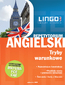 Angielski. Tryby warunkowe