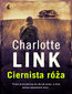 Ciernista Róża