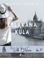 Willa Morena 17: Zbłąkana kula Willa Morena 17: Zbłąkana kula