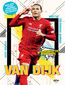 Van Dijk. Holenderska skała